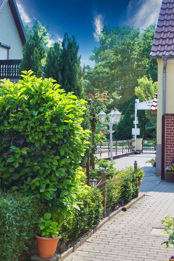 Pension Luisenhof Tangermünde Kültér fotó